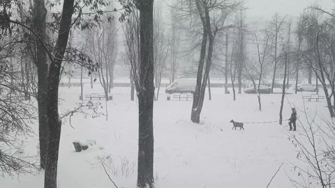 Snowing background. View from window Stock Footage 171108294