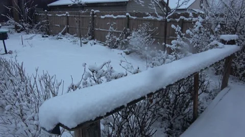 Snowing in the backyard. Stock Footage 231086737