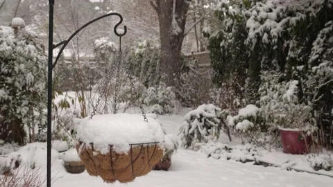 Snowing in backyard. Hanging basket hanging in a foreground. Stockbeeldmateriaal 167525544