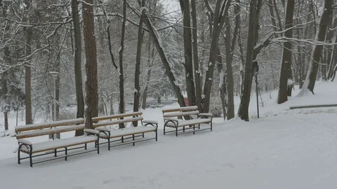 Snowing Benches in Park Stock Footage 71224857