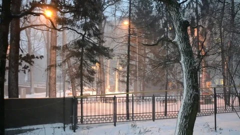 Snowing Blizzard Stock Footage 83716406