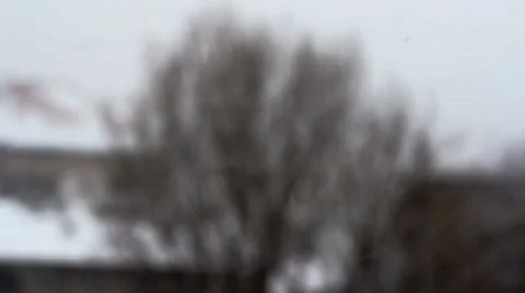 Snowing. Blurry tree brances. Video stock 34512127