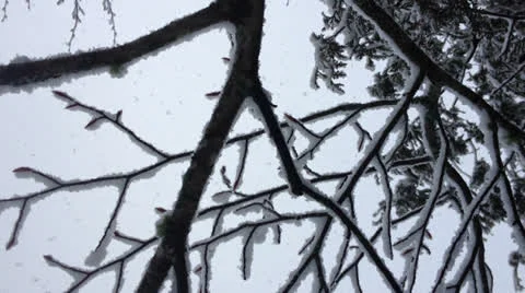 Snowing on the Camera Vidéo 22605111