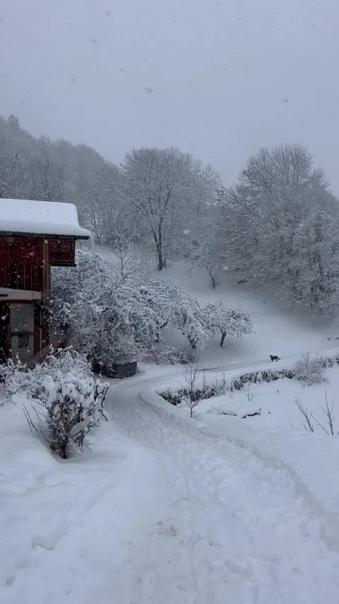 Snowing in countryside Stock Footage 334411593
