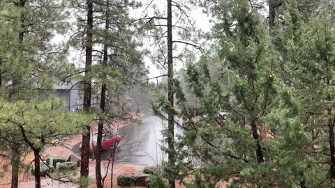 Snowing on a Cul-de-sac through trees Stock Footage 144835067
