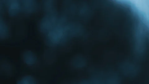Snowing in the dark blur background. Winter theme Stock Footage 115354136