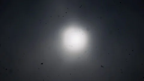 Snowing On Dark Cloudy Sky with sun in the center Video stock 105354804