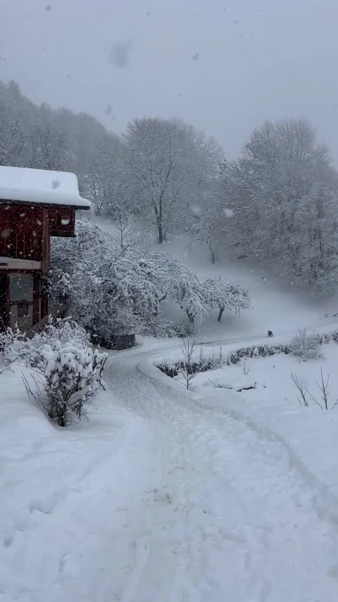 Snowing day in countryside Vídeo Stock 334411608