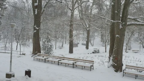 Snowing Day in Park Stock Footage 71224784