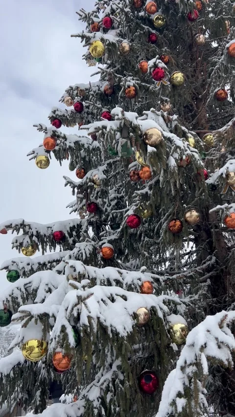 Snowing on a decorated Christmas tree by winter in ski resort Courchevel Stock Footage 337098613