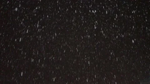 Snowing evening sow in the darkness Stock Footage 100233769
