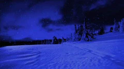 Snowing Falling Animation Loop  Stock Footage 232163435