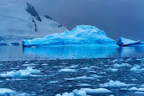Snowing Floating Blue Iceberg Reflection Paradise Bay Skintorp Cove Antarctic Stock Photos