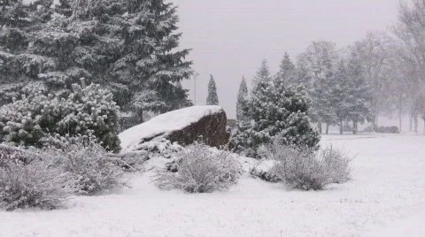 Snowing Видео 334360