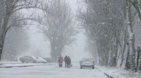 Snowing Video stock 334405