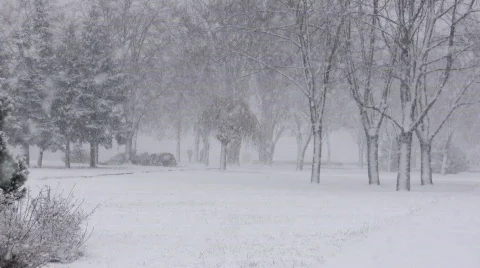 Snowing Stock Footage 334475