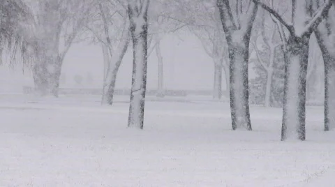Snowing Stock Footage