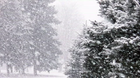 Snowing Stock Footage 334600