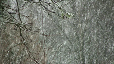 Snowing Video stock 358527