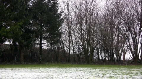 Snowing Stock-Footage 7073543