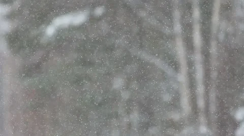 Snowing Stock Footage 10750232