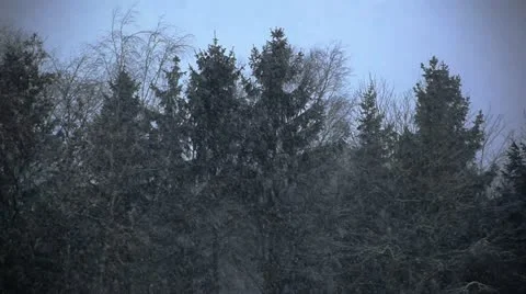 Snowing Video stock 10912917