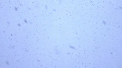 Snowing Video stock 34346053