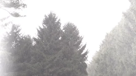 Snowing Stock Footage 58740805