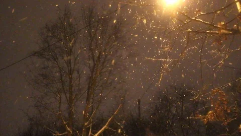 Snowing Stock Footage 102623654