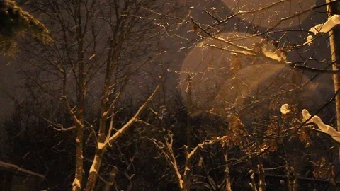 Snowing Stock Footage 102623656