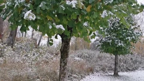 Snowing Stock-Footage 142862910