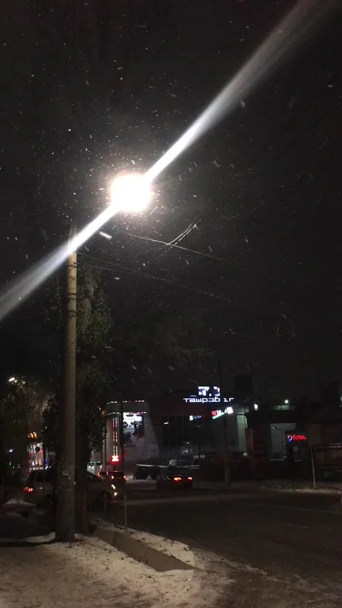 Snowing Stock Footage 172227955