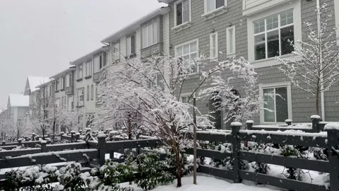 Snowing Stock-Footage 234336005