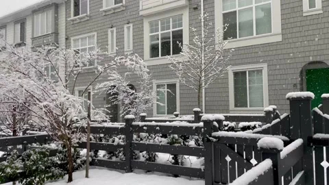 Snowing Video stock 234336027