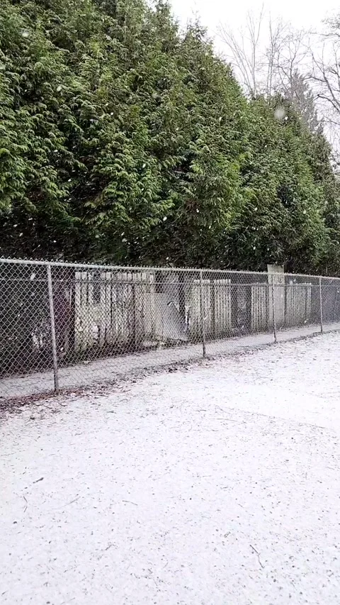 SNOWING Video stock 263059955