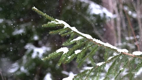 Snowing Stock Footage 302273350