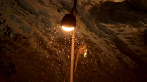 Snowing Stock Footage 313035086