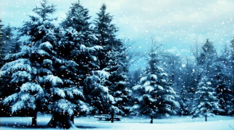 Snowing Forest Loop Stock Footage 33470480