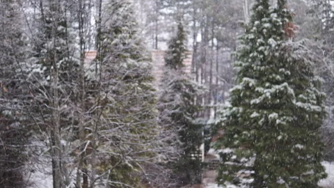 Snowing In A Forest Slow Motion Video stock 229693996