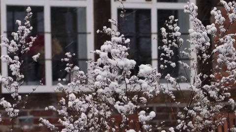 Snowing in front of old farm window Stock Footage 83462131