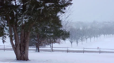 Snowing in Front Yard Stock Footage 32185369