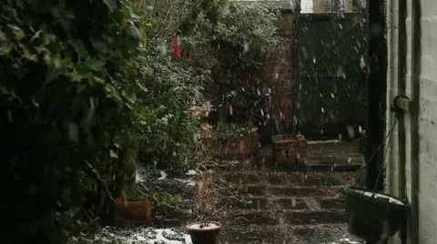 Snowing in garden Stock Footage 22302278