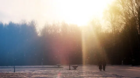 Snowing in the garden Stock Footage 34467138