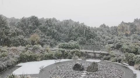 Snowing in the garden Stock Footage 97121051