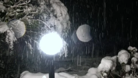 Snowing in the garden by night Stock Footage 327062623