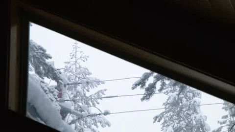Snowing Gray Cloudy Day View out of a Narrow Window with snowy white trees Stock Footage 229426542