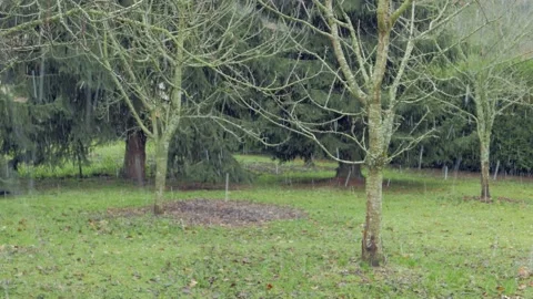 Snowing in a green field Video stock 145876236