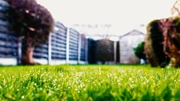 Snowing  on a green grass.Shallow depth of field. 스톡 동영상 85686902