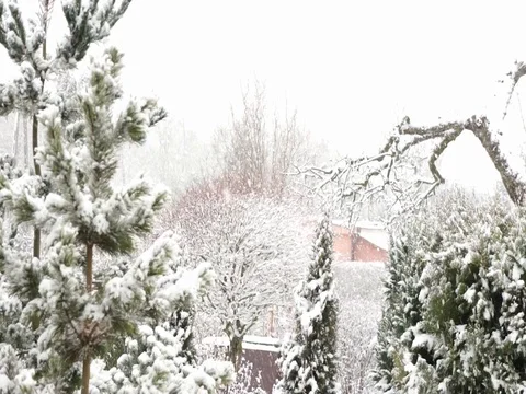 Snowing hard 1 Video stock 83721088