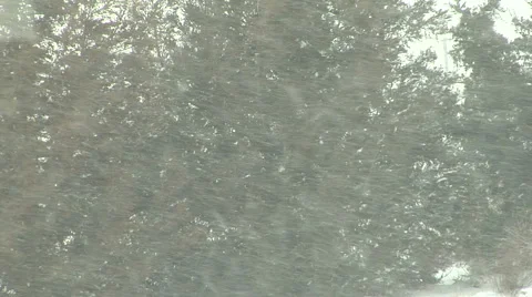 Snowing Hard Stock Footage 54752173